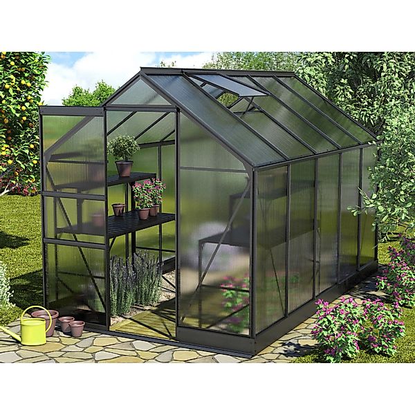 Vitavia Gewächshaus Apollo 6200 Schwarz 6,2 m² inkl. Fundament günstig online kaufen