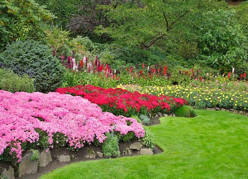 Papermoon Fototapete »Blumen im Garten« günstig online kaufen