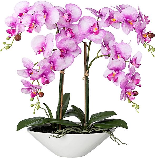 Kunstorchidee Deko-Orchidee Phalaenopsis in Keramikschale Orchidee günstig online kaufen