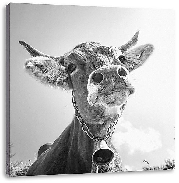 Pixxprint Leinwandbild Portrait einer Kuh, Portrait einer Kuh (1 St), Leinw günstig online kaufen