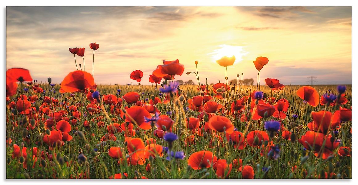 Artland Wandbild »Mohnblumen« Blumen 1 Stk. tlg. als Alubild, Outdoorbild, günstig online kaufen