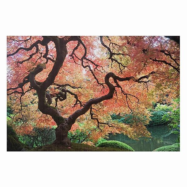 home24 Bild Japanischer Garten III günstig online kaufen