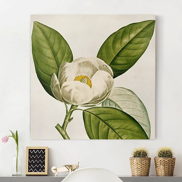 Leinwandbild - Quadrat Tableau Blatt Blüte Frucht II günstig online kaufen