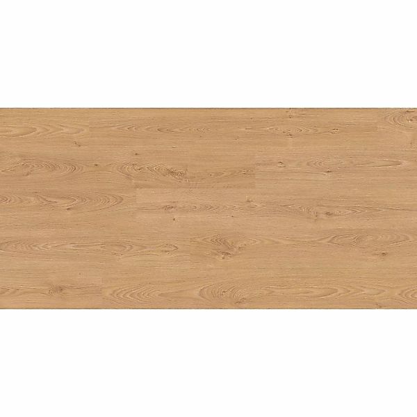 Kaindl Comfort Laminat 7 mm Eiche Brione günstig online kaufen