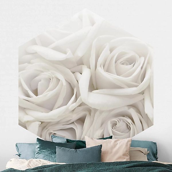 Hexagon Fototapete selbstklebend Weiße Rosen günstig online kaufen