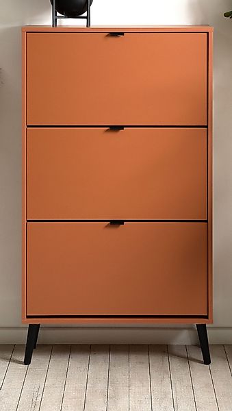 Furn.Design Schuhkipper Aldan (Schuhschrank in Pastellgrün, günstig online kaufen