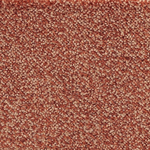 Bodenmeister Teppichboden »Juno, Velours - meliert, Made in Belgium«, recht günstig online kaufen