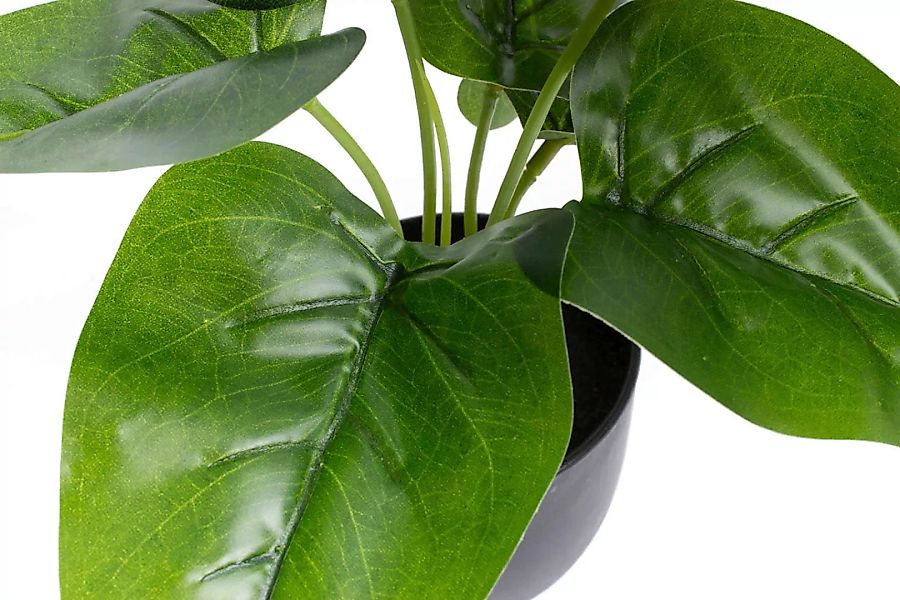 Botanic-Haus Künstliche Zimmerpflanze "Philodendron" günstig online kaufen