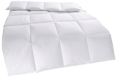 my home Daunenbettdecke "Cyra, Bettdecke 135x200 cm, 155x220 cm" normal Fül günstig online kaufen
