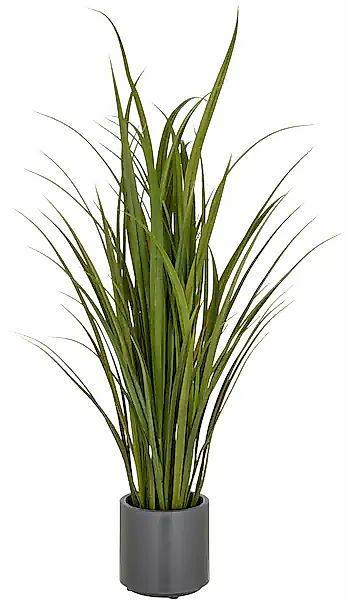 Creativ green Kunstgras »Grasbusch Miscanthus«, im eleganten Topf günstig online kaufen