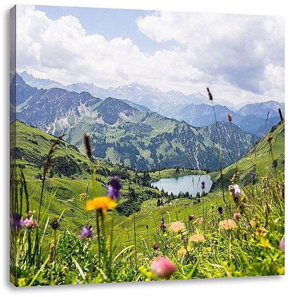 Pixxprint Leinwandbild Wiesenblumen in den Bergen, günstig online kaufen