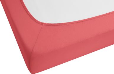 Biberna Spannbettlaken GOTS Biber in Gr. günstig online kaufen