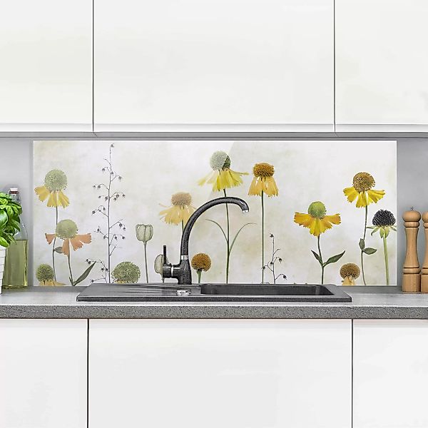 Glas Spritzschutz Blumen - Panorama Zarte Helenium Blüten günstig online kaufen