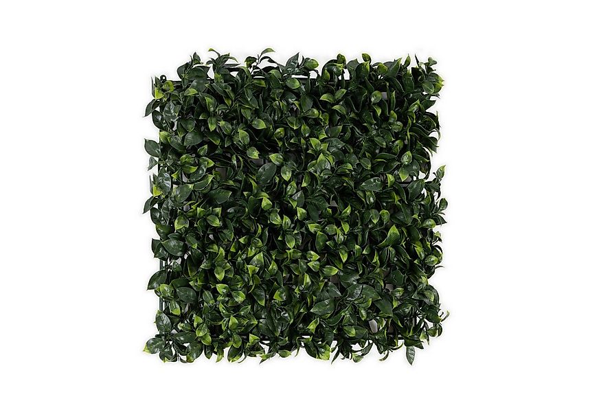 Kunstpflanze Pflanzenwand, Karat, Sonnenbeständig günstig online kaufen