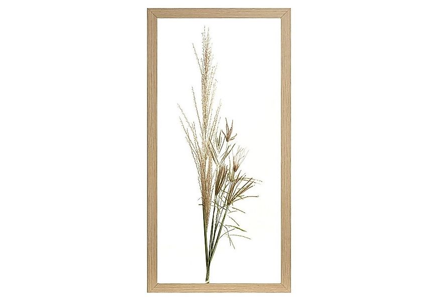 Wandbild Gerahmter Kunstdruck, Braun, Weiß, B 23 cm, Gräser (1 St), Grün, G günstig online kaufen