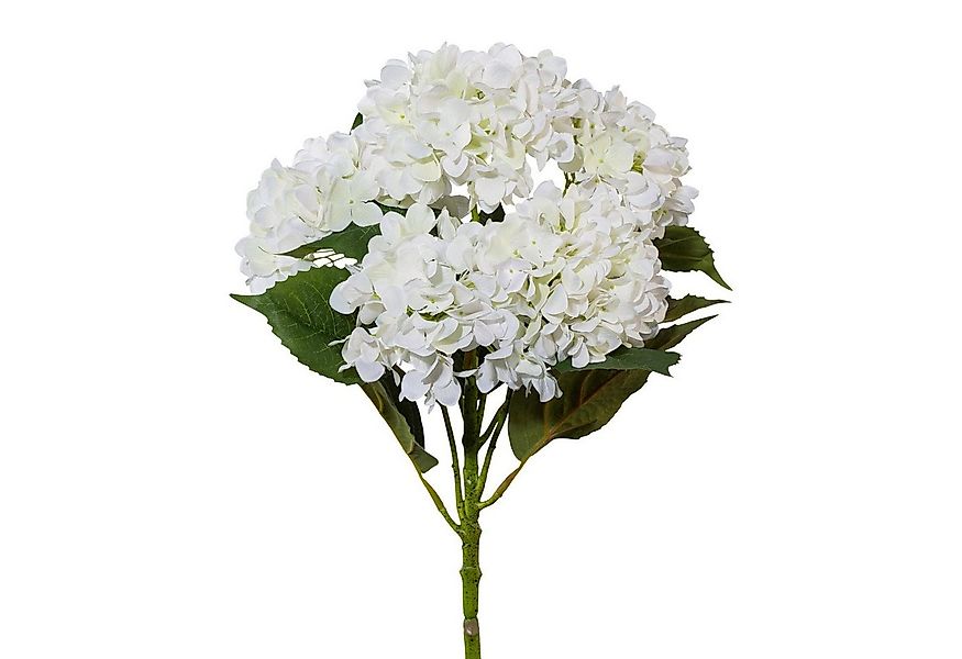 Kunstpflanze, Creativ green, Höhe 63 cm günstig online kaufen