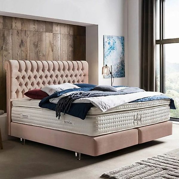 BettCo Boxspringbett Chester (in Rose Samt, 200 x 200 cm), Kostenloser Aufb günstig online kaufen