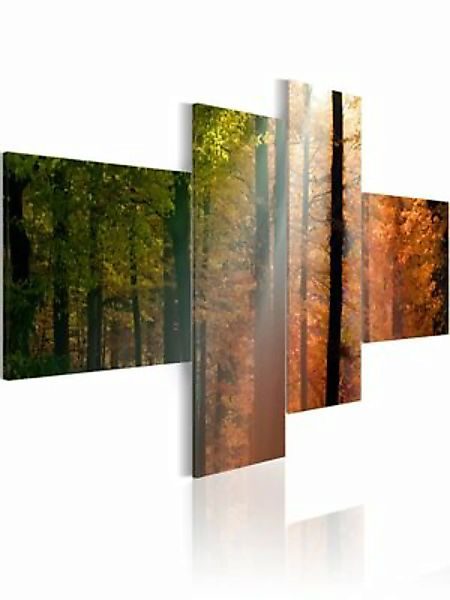 artgeist Wandbild Sonnenstrahlen zwischen Bäumen mehrfarbig Gr. 200 x 90 günstig online kaufen