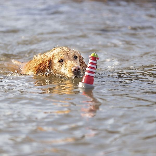 TRIXIE Wasserspielzeug Hundespielzeug Aqua Toy Leuchtturm günstig online kaufen