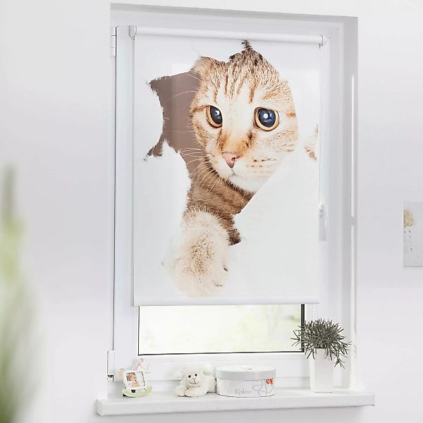 LICHTBLICK ORIGINAL Seitenzugrollo »Klemmfix Digital Katze«, verdunkelnd, e günstig online kaufen