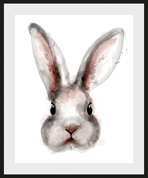 queence Bild "Aada", Hase-Hasen-Kunst-Haustiere, (1 St.), HD Premium Poster günstig online kaufen