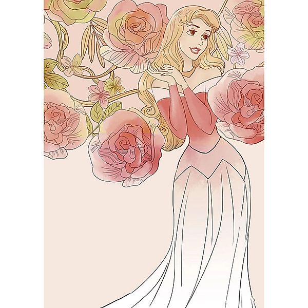 Disney Poster Dornröschen Rosa 50 x 70 cm 610133 günstig online kaufen
