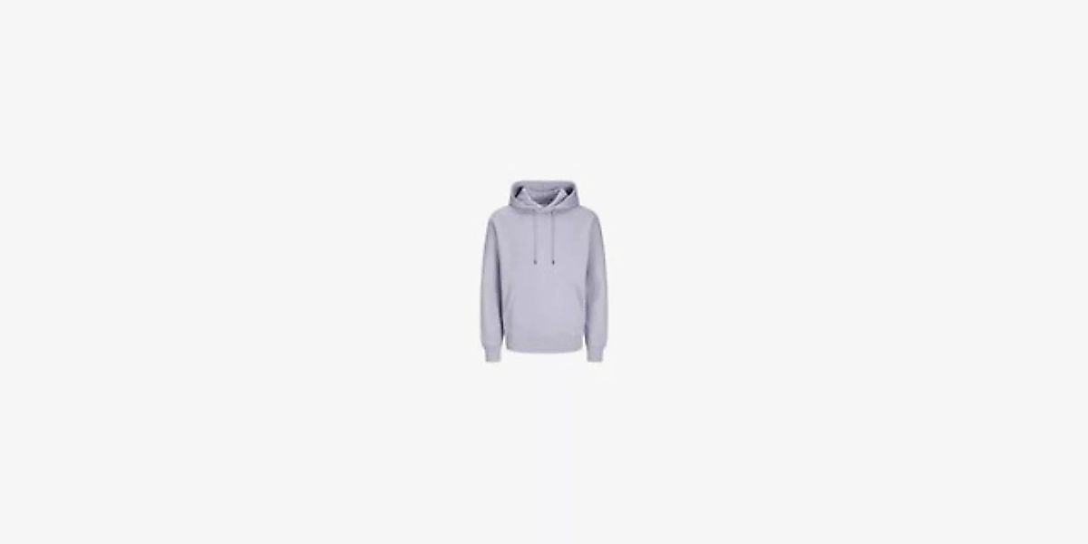 Jack & Jones Longsweatshirt JJESTAR BASIC SWEAT HOOD NOOS günstig online kaufen