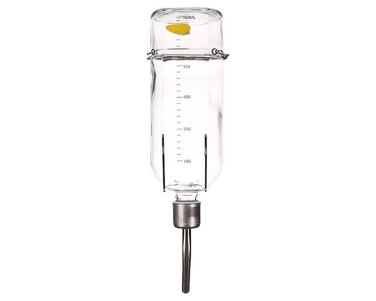 Flamingo Wasserspender Trinkflasche Athina Glas Nager günstig online kaufen