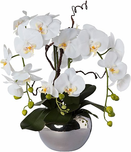 Kunstorchidee Phalaenopsis, Creativ green, Höhe 55 cm, im Keramiktopf günstig online kaufen