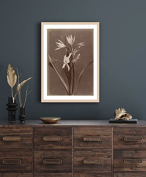 queence Bild mit Rahmen "Marlies" Blumen & Gärten Premium Rahmenbild günstig online kaufen