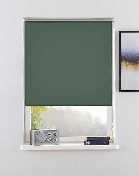 my home Seitenzugrollo "THEMSE" abdunkelnd Sichtschutz  Verdunkelung  energ günstig online kaufen