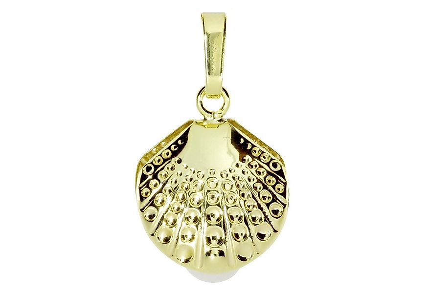 OSTSEE-SCHMUCK Kettenanhänger Ostsee-Schmuck Anhänger Muschel Anhänger Musc günstig online kaufen