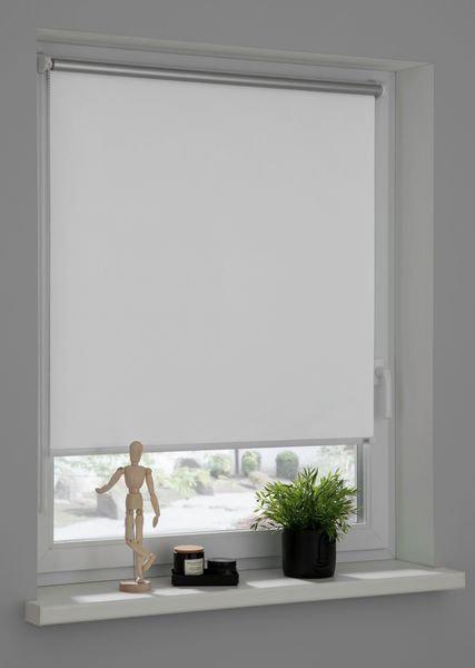SCHÖNER WOHNEN-Kollektion Seitenzugrollo »Thermorollo Martha« verdunkelnd S günstig online kaufen