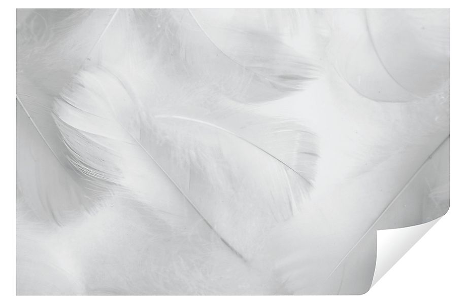Wallarena Fototapete Federn Modern 3D Effekt günstig online kaufen