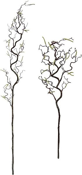 Kunstblume Korkenzieherzweig Künstlicher Dekozweig, I.GE.A., Höhe 115 cm, K günstig online kaufen