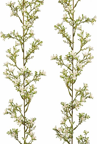 Creativ green "Jasmingirlande" 2er Set günstig online kaufen