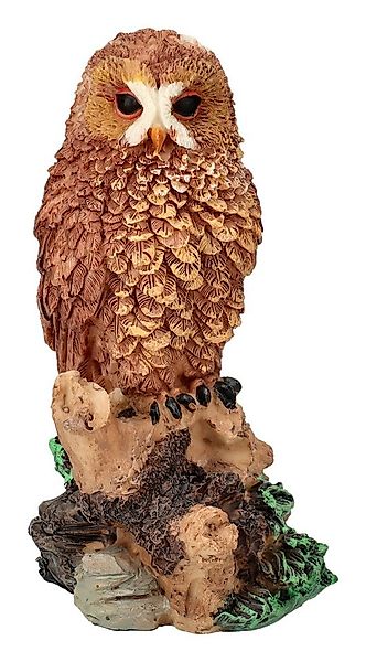 Figuren Shop GmbH Tierfigur Eulen Figur - Brilleneule - Tierfigur Dekofigur günstig online kaufen