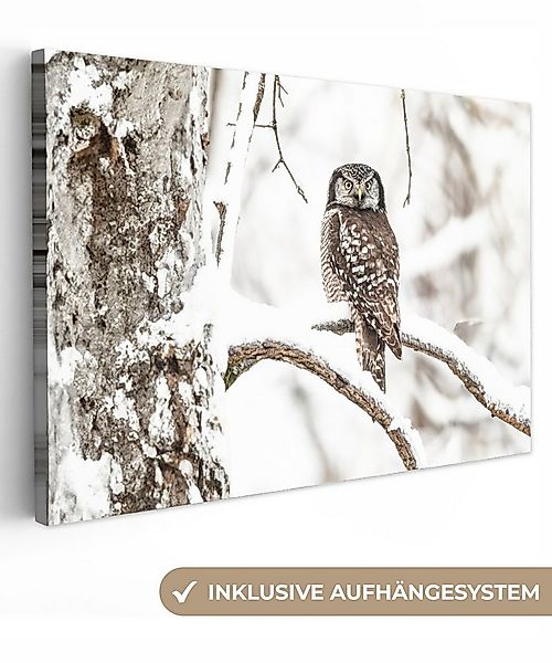 OneMillionCanvasses® Leinwandbild Eule - Schnee - Winter - Vögel - Porträt, günstig online kaufen