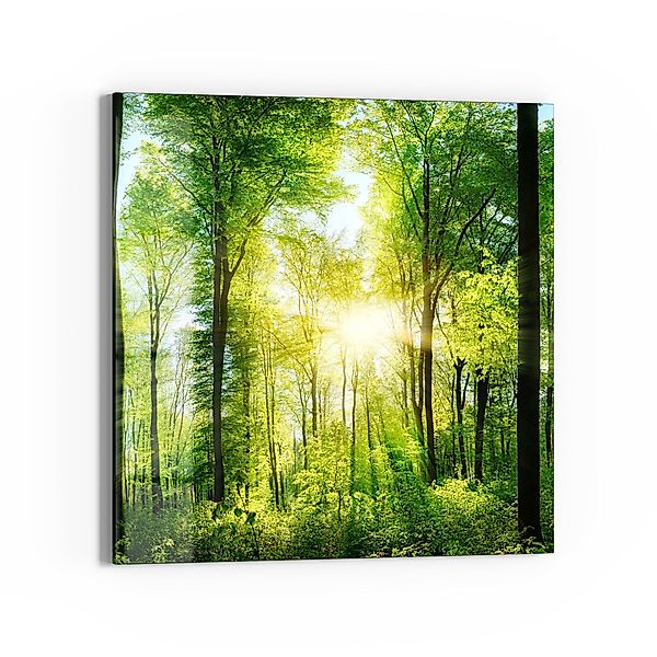 DEQORI Glasbild 'Sonne durchbricht Wald', 'Sonne günstig online kaufen