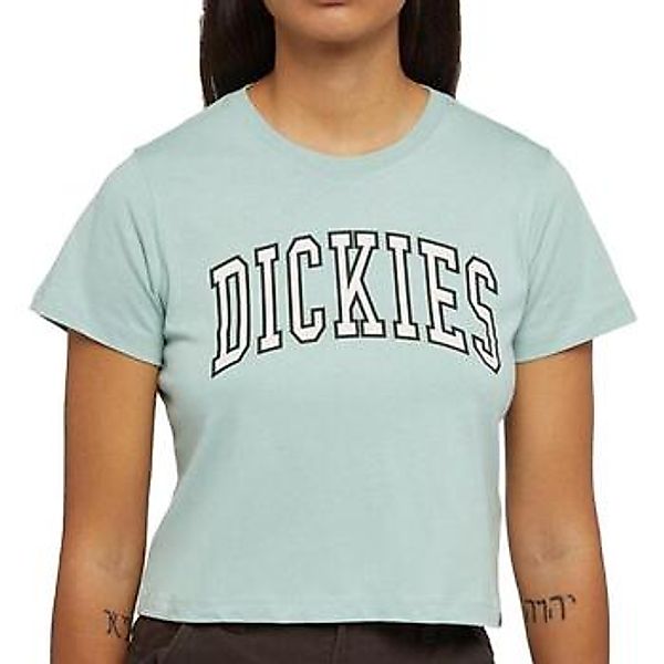 Dickies  T-Shirts & Poloshirts DK0A4YS8J591 günstig online kaufen