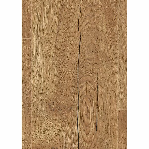 Egger Large Laminat 8 mm Eiche Limerick Honig günstig online kaufen