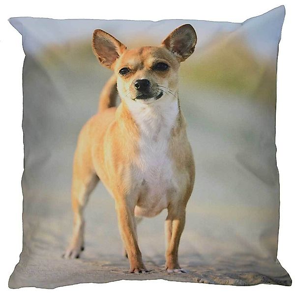 Outdoor Kissen Hundemotiv Gartenkissen Hund Welpe Wasserabweisend 40 x 40 c günstig online kaufen