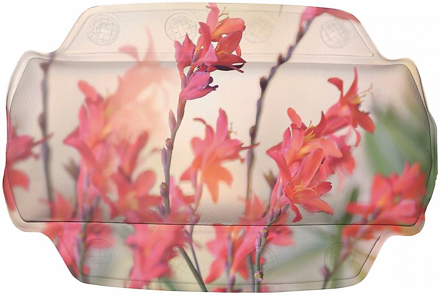 Kleine Wolke Nackenkissen "Nackenpolster Kolibri" günstig online kaufen