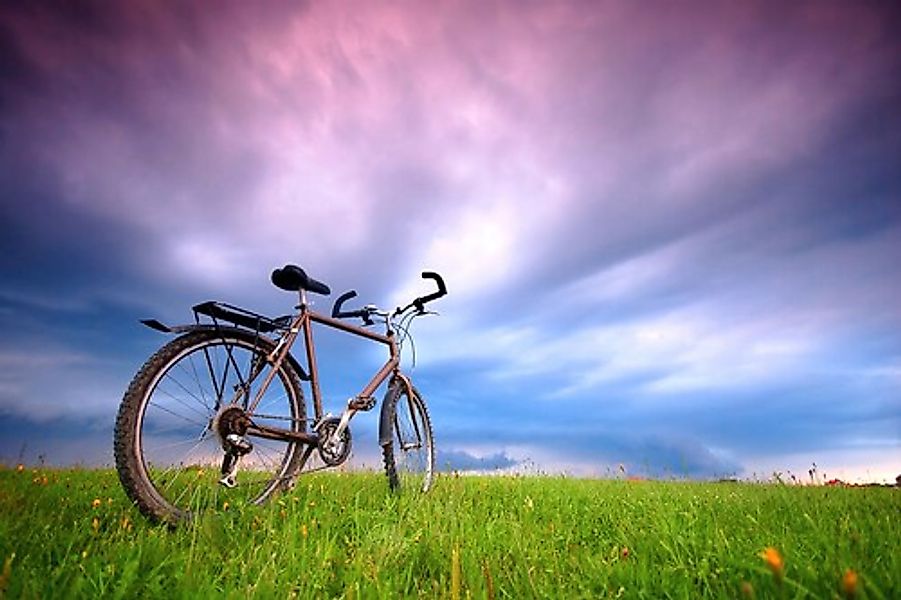 Papermoon Fototapete »Fahrrad in Grünland« günstig online kaufen