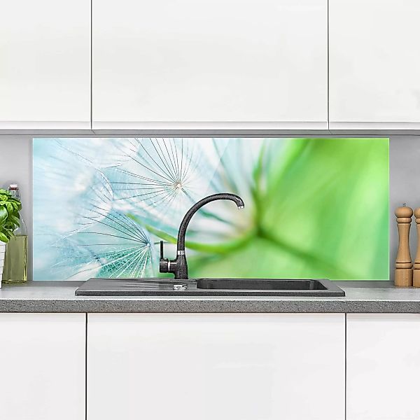 Glas Spritzschutz Blumen - Panorama Abstrakte Pusteblume günstig online kaufen