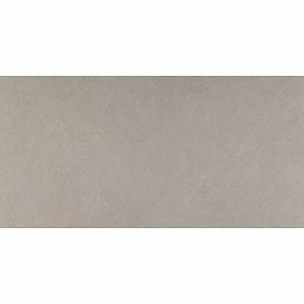Bodenfliese Feinsteinzeug Grau 60 cm x 120 cm günstig online kaufen