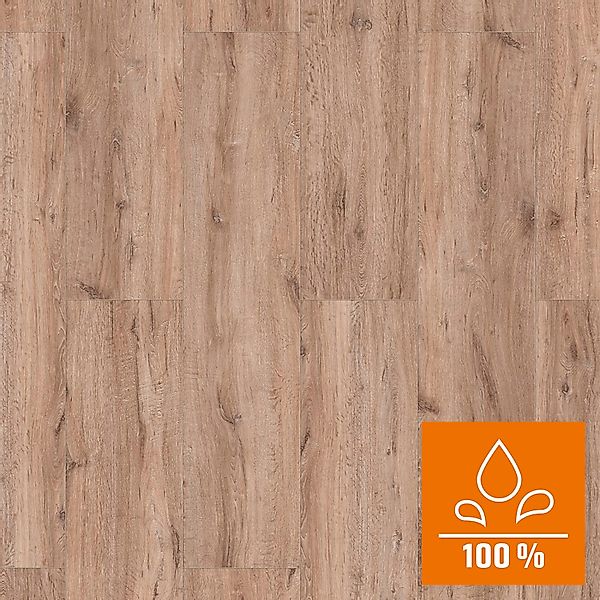 Classen XL Laminat 8 mm Wasserfest Eiche Natur günstig online kaufen