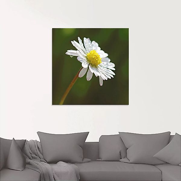 Artland Glasbild »Gänseblümchen«, Blumen, (1 St.), in verschiedenen Größen günstig online kaufen