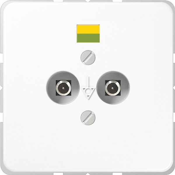 Jung Potential-Ausgl.Steckdose 2 Steckerstifte CD 565-2 WW - CD565-2WW günstig online kaufen