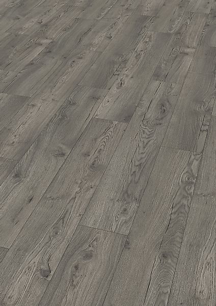 EGGER Laminat EGGER Basic Laminatboden EBL042 günstig online kaufen